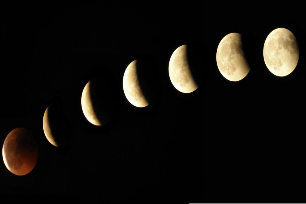 la importancia de la fase lunar en el cultivo de cannabis