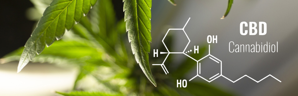cbd es un cannabis medicinal sin efectos psicoactivos